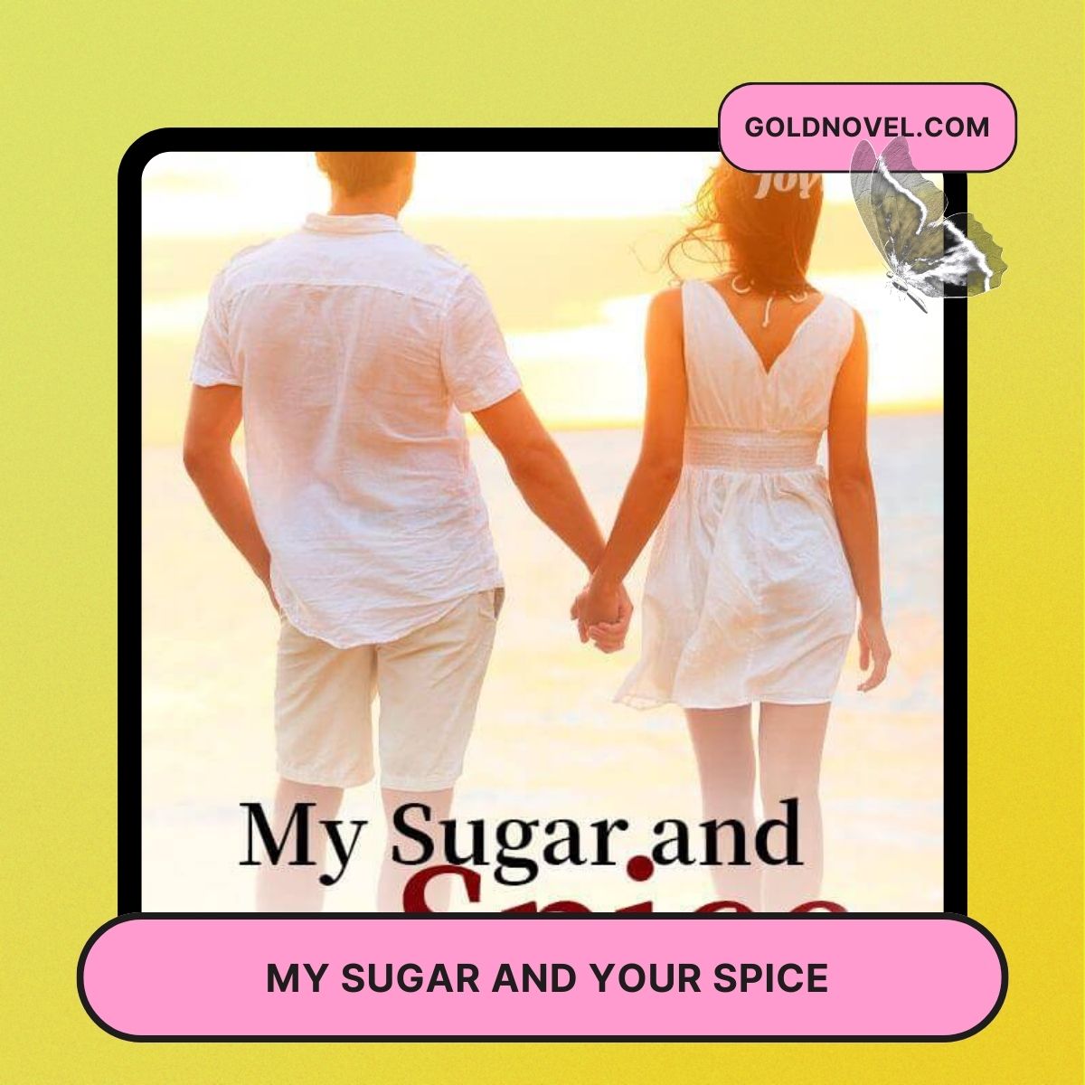 My Sugar and Your Spice Novel
