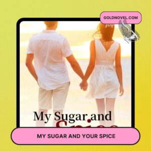 My Sugar and Your Spice Novel